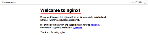 Тест в браузере — страница по умолчанию Nginx загружается через Varnish