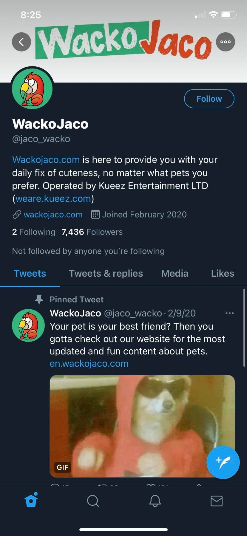 скриншот профиля пользователя Twitter