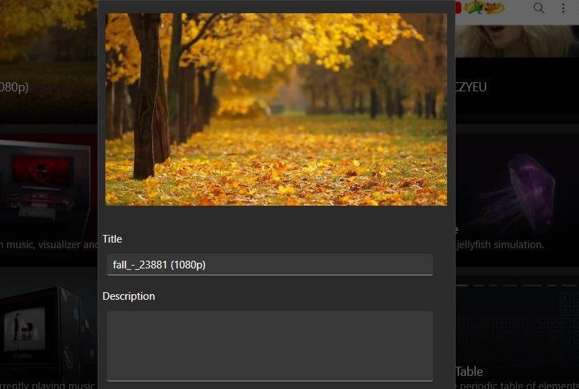 Поля Заголовок и Описание при добавлении видео