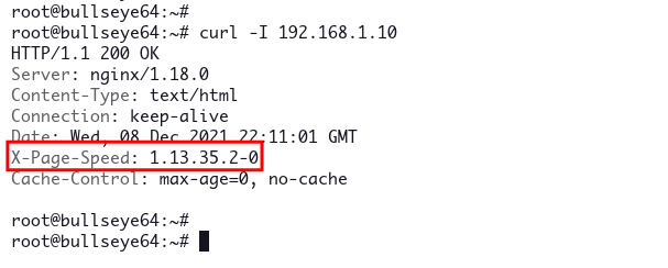 Вывод curl с заголовком X-Page-Speed