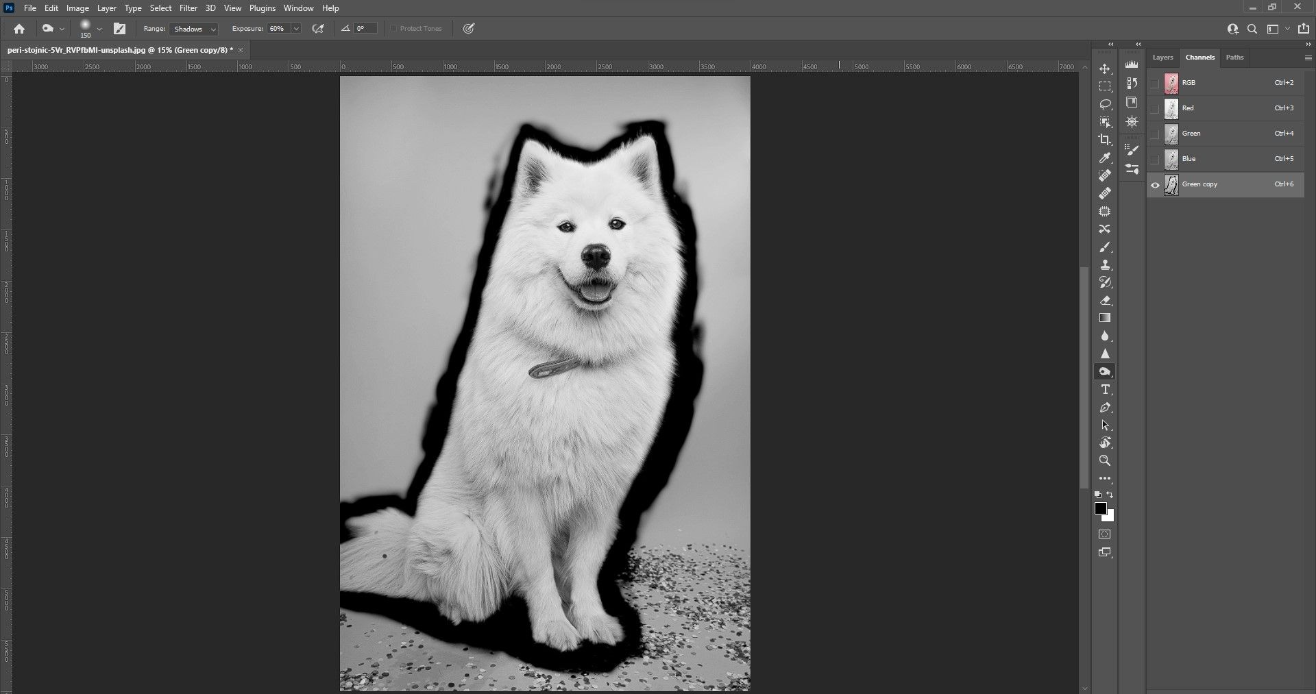 Шаг 6: закрашивание вокруг собаки