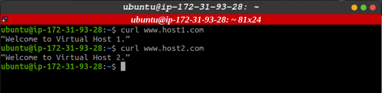 Результат тестирования curl для двух виртуальных хостов