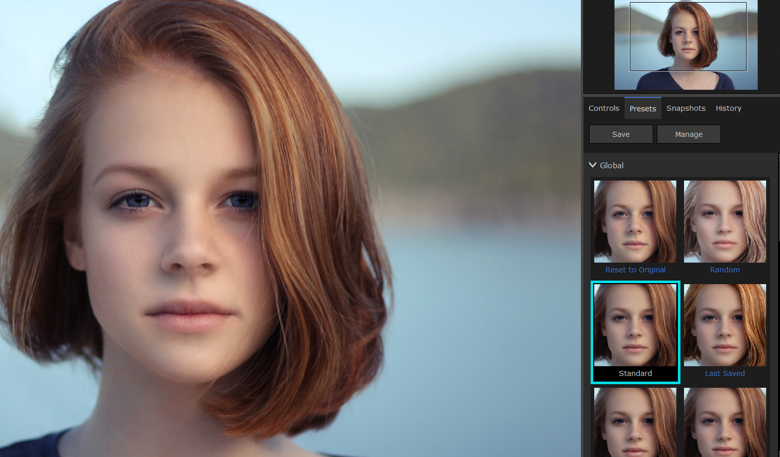 Выбор пресета Standard в PortraitPro