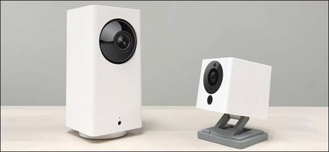 Две камеры Wyze — поворотная и фиксированная