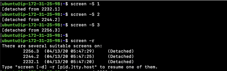 Подключение к одной единственной сессии screen