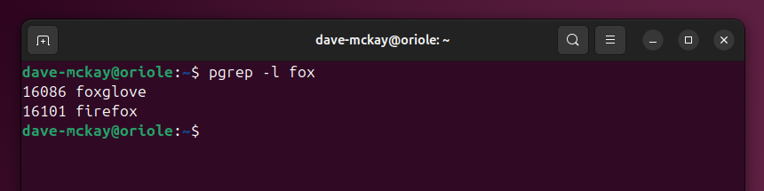 Поиск pgrep для процессов с подстрокой fox.