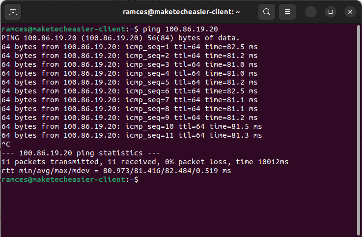 График задержек и пример ping между клиентами Tailscale.