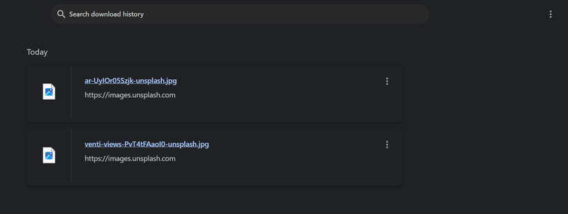Страница истории загрузок Google Chrome с двумя файлами