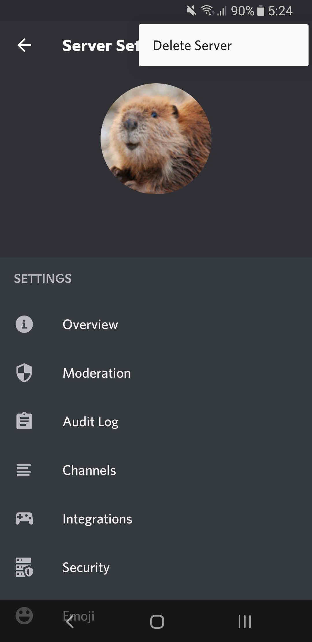 Экран настроек — удаление сервера в мобильном Discord
