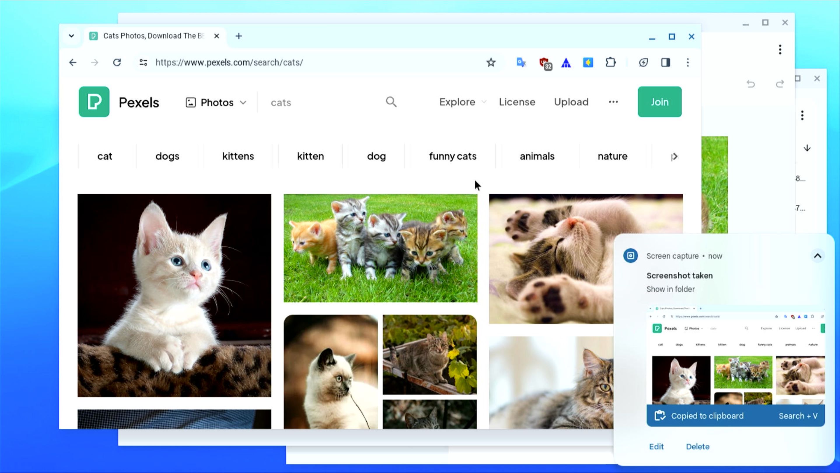 Скриншот отдельного окна в ChromeOS