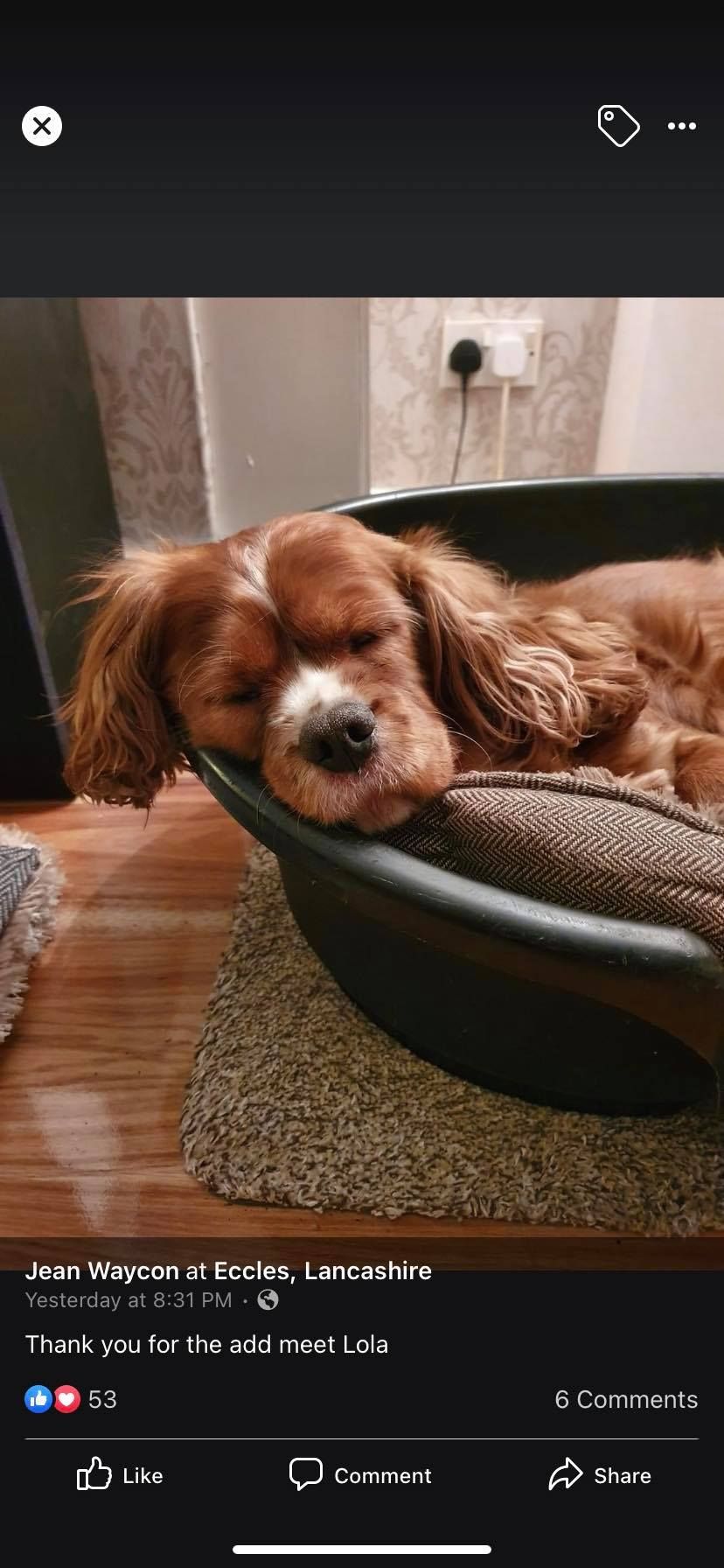 скриншот публикации в Facebook