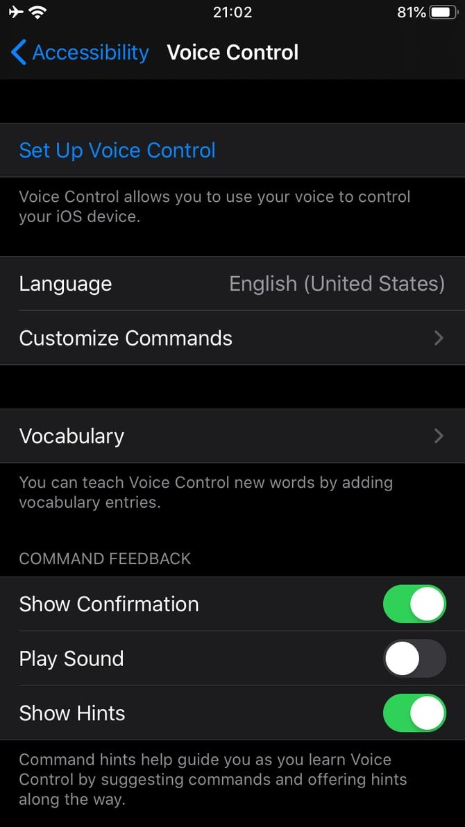 Опции кастомизации команд и словаря в Voice Control