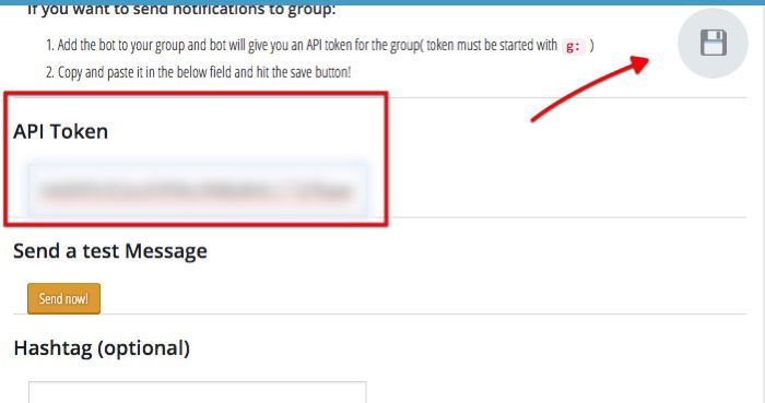 Поле для вставки пользовательского токена в настройках плагина