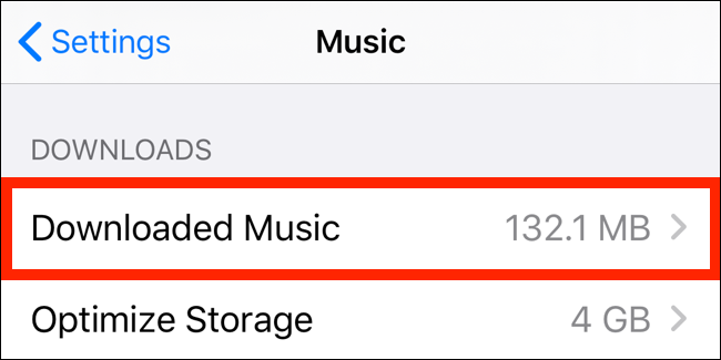 Опция загруженной музыки в настройках Apple Music