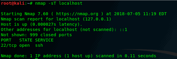Nmap: сканирование TCP-портов localhost