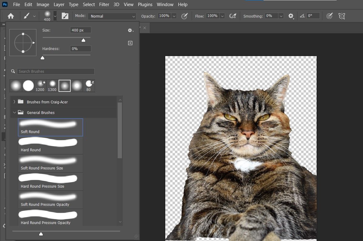 Выбор мягкой круглой кисти