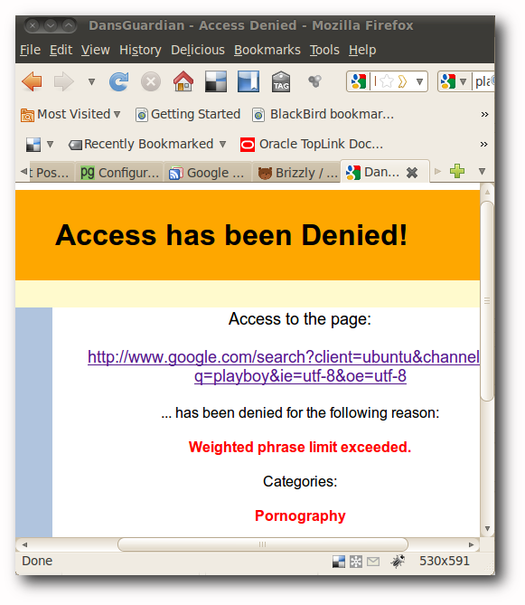 Страница доступа запрещена в webcontent control