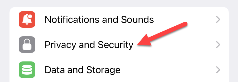 Экран Конфиденциальность и безопасность в Telegram для iPhone