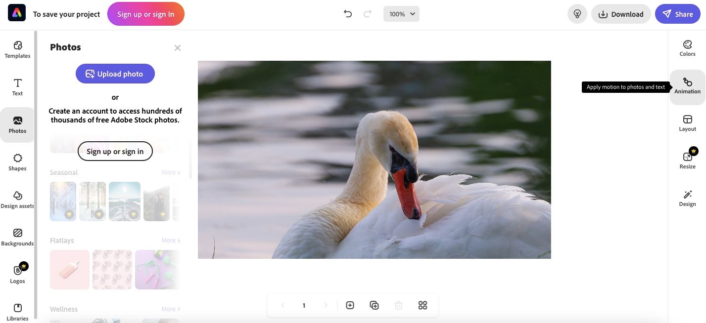 Анимация в Adobe Express: пример результата