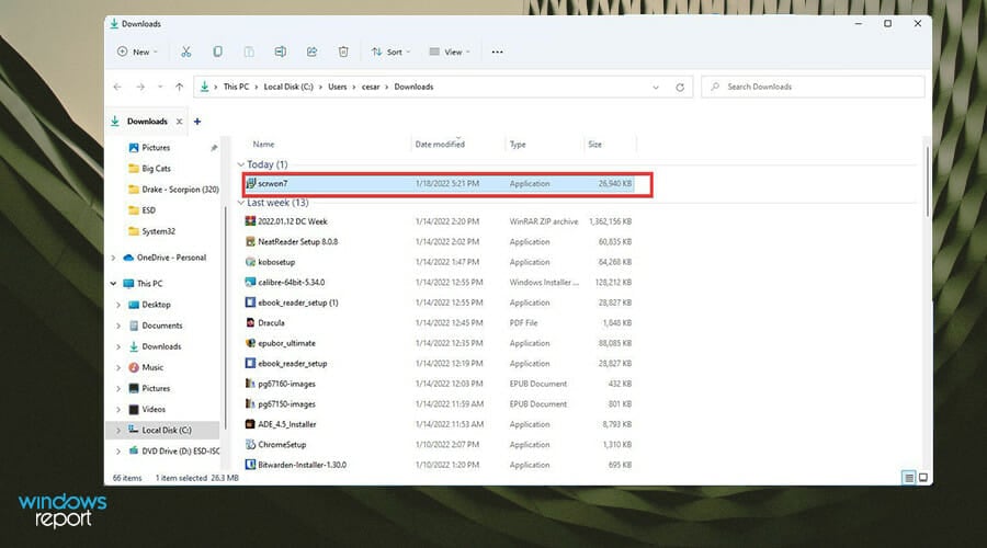 Папка с загруженным установщиком Screensaver Wonder 7