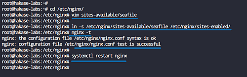 Nginx в роли обратного прокси