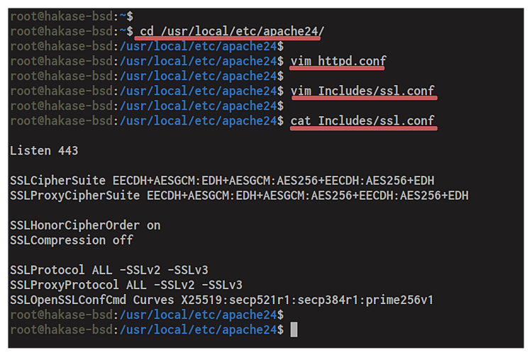 Добавление SSL конфигурации в Includes
