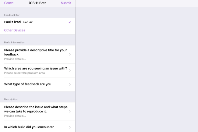 Форма отчёта об ошибке в Feedback