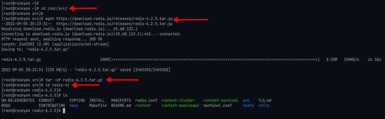 Скриншот загрузки исходного кода Redis