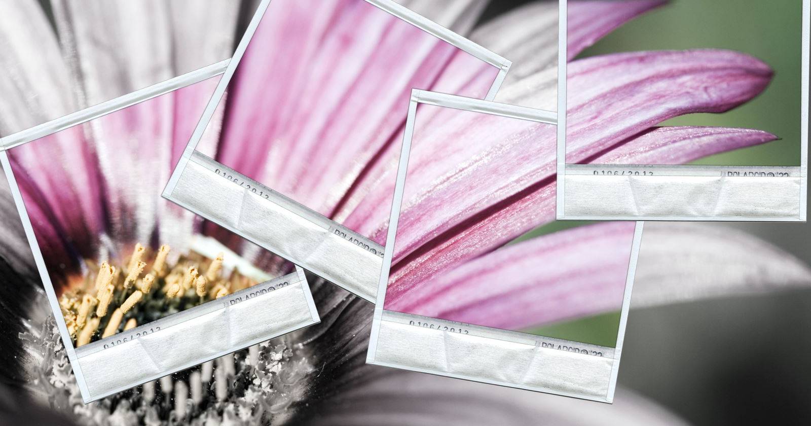 Восстановление фото по метаданным