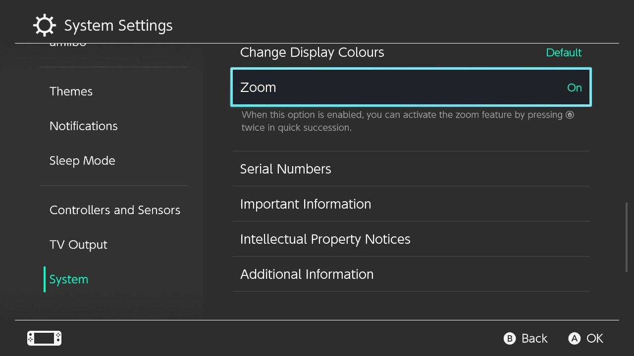 Скриншот системных настроек Nintendo Switch с выделением опции «Zoom»