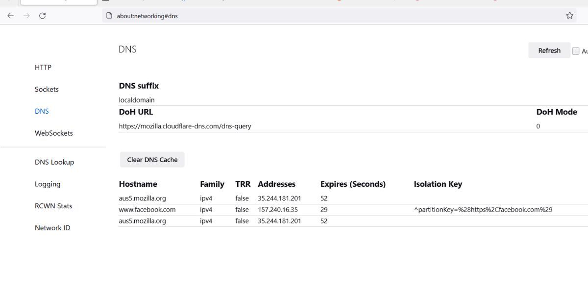 Страница DNS в браузере Firefox
