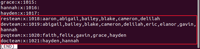 Нижняя часть файла /etc/group в просмотрщике less