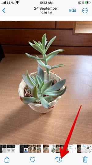 Обратный поиск изображений на iPhone — 8 способов