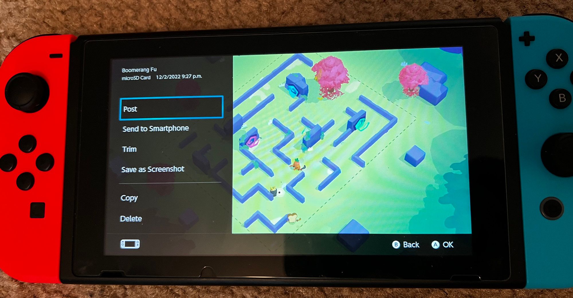 Меню опций видео на Nintendo Switch