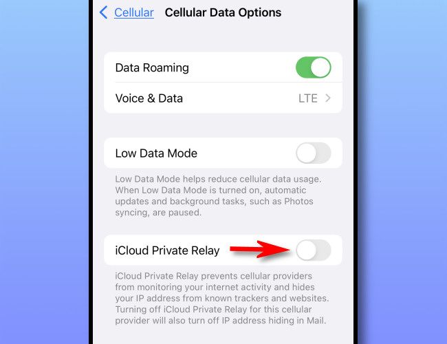 In Cellular Data Options, switch