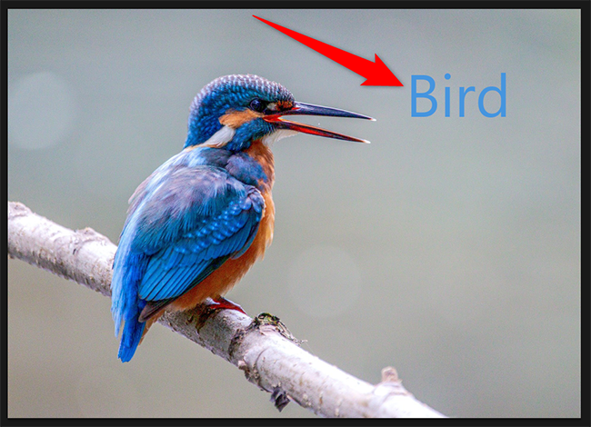 Перевёрнутый слой в Photoshop