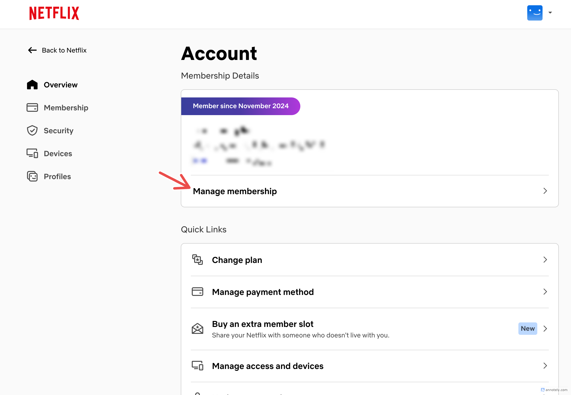 Страница управления подпиской Netflix в аккаунте.