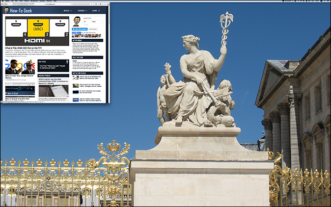 really-really-zoomed-in