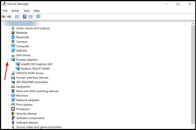 Группа Display adapters в Диспетчере устройств