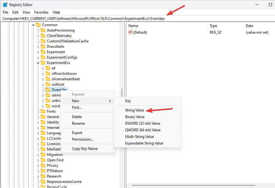 Создание строкового параметра Microsoft.Office.Outlook.Hub.HubBar