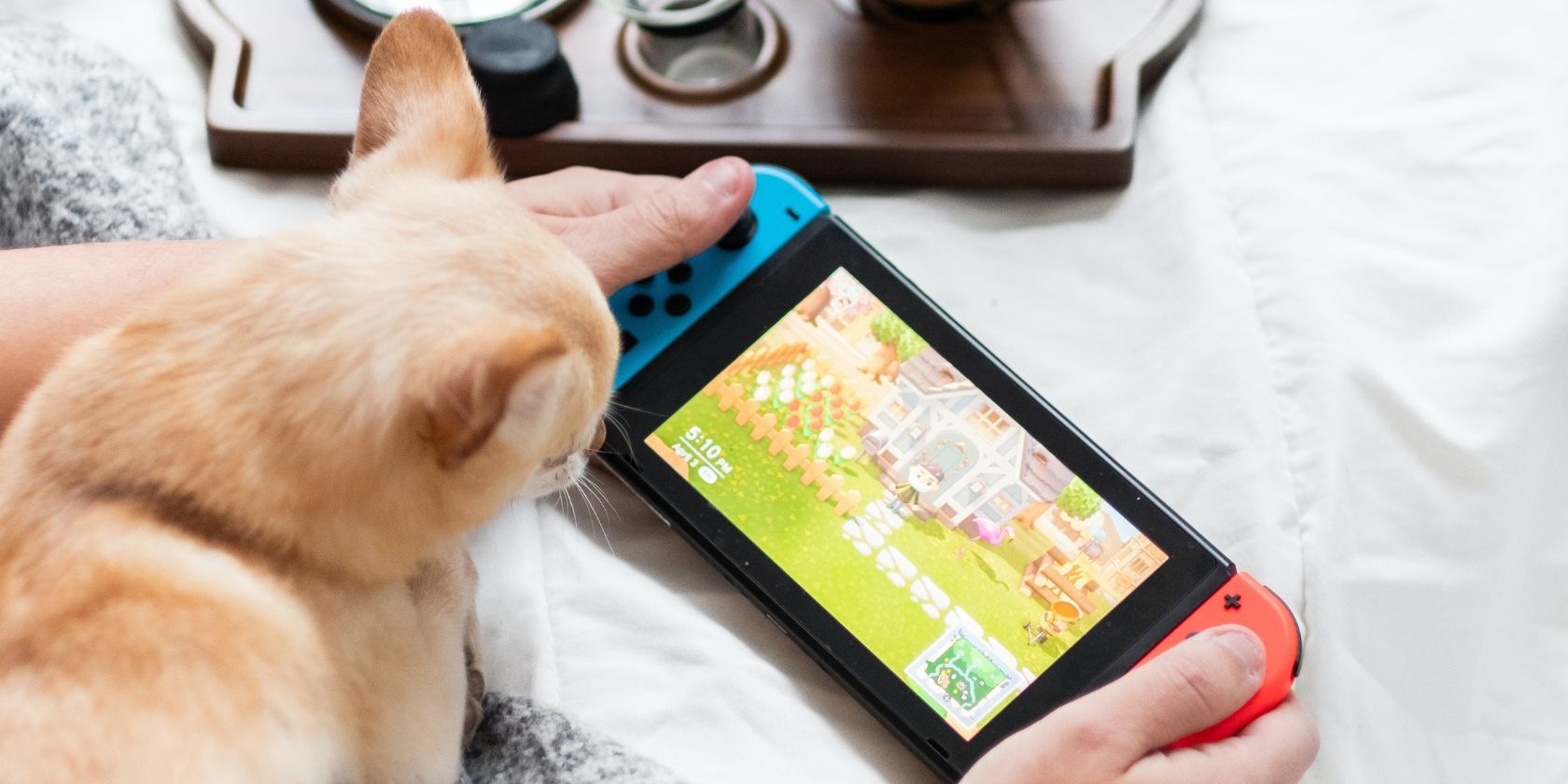 Человек играет в Animal Crossing: New Horizons рядом с собакой