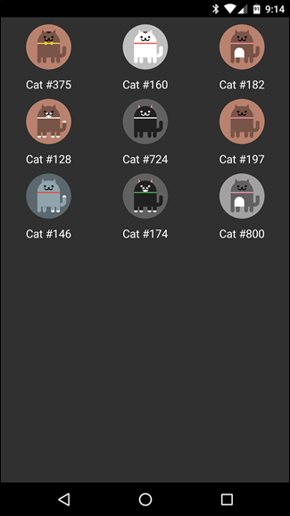 Список собранных кошек и их номера
