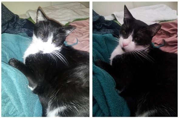 Снимок с лёгким цветовым фильтром для подчёркивания настроения