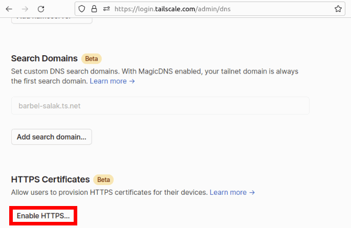 Опция HTTPS для хостов Tailscale.