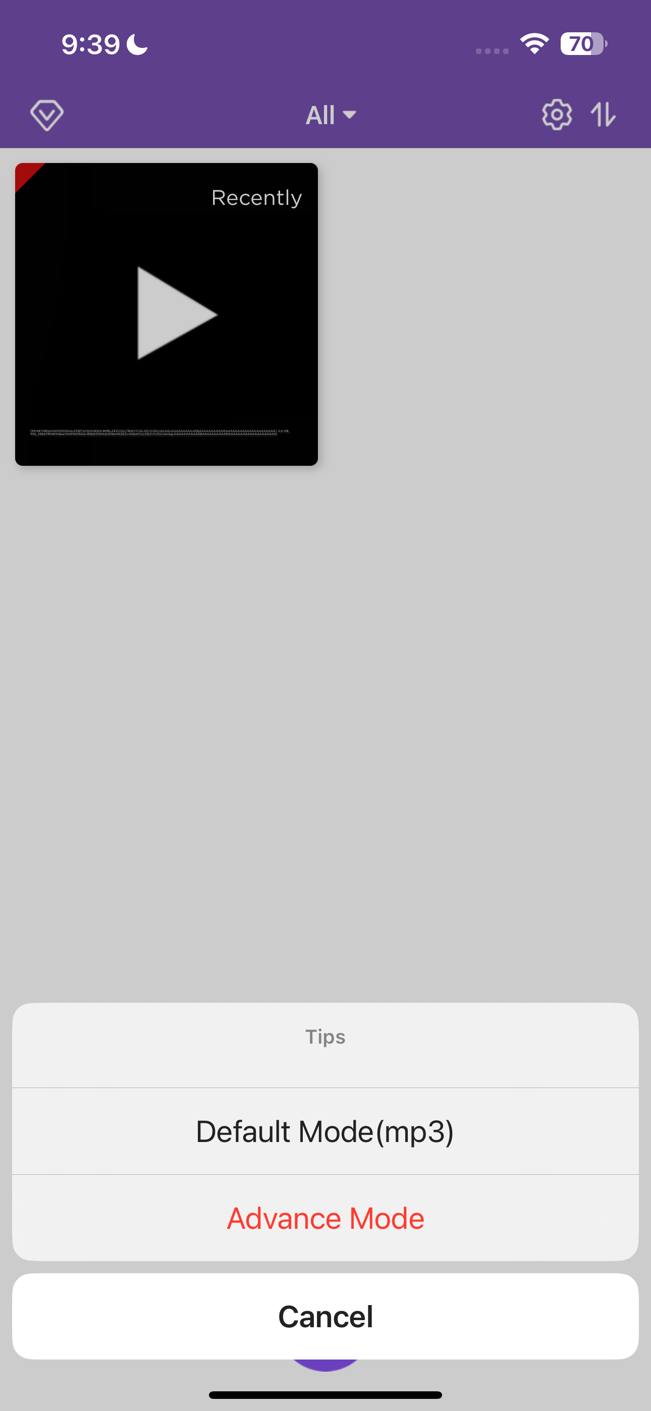 Опции форматов файлов в приложении MP3 Converter на iPhone