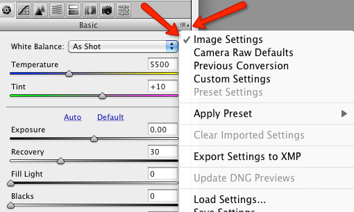 Возврат к предыдущим настройкам в Adobe Camera Raw
