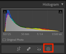 Нажмите значок маски в панели Lightroom