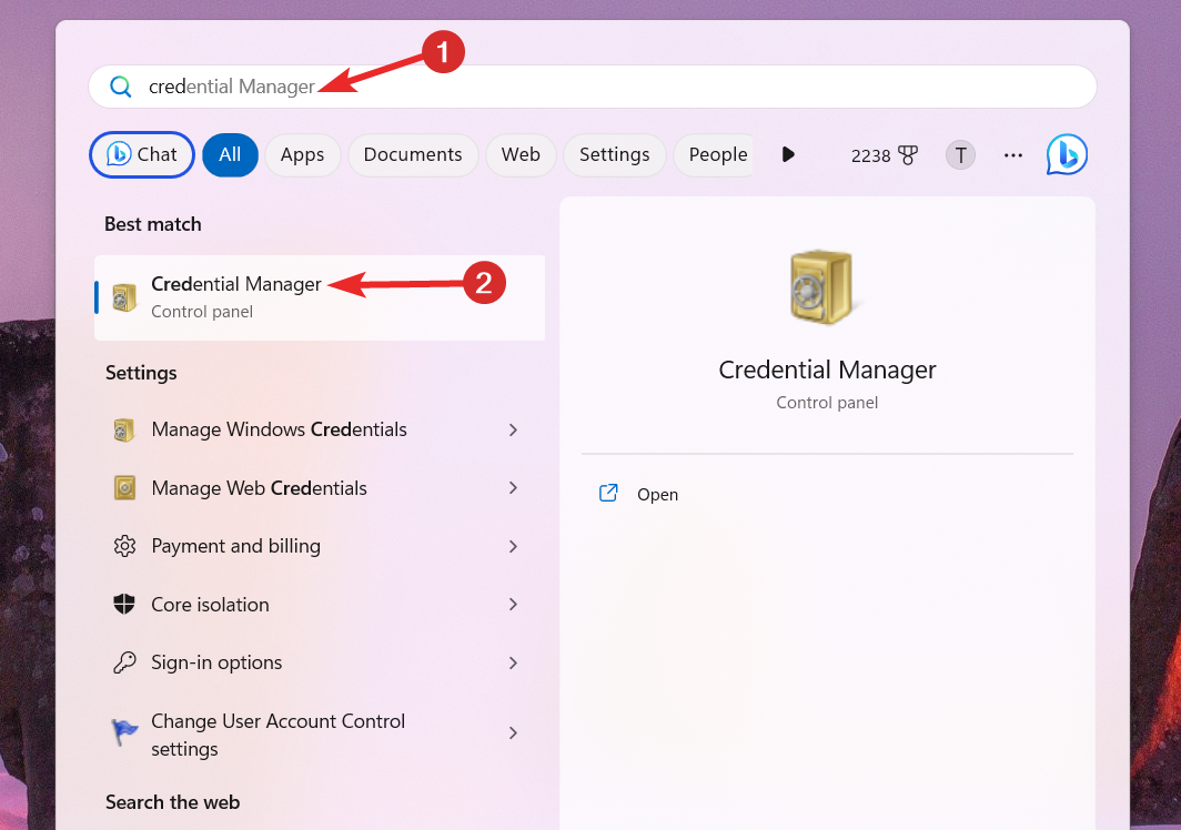 Скриншот окна Credential Manager с разделом Windows Credentials