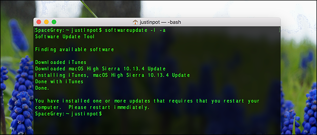 Обновление macOS через Терминал