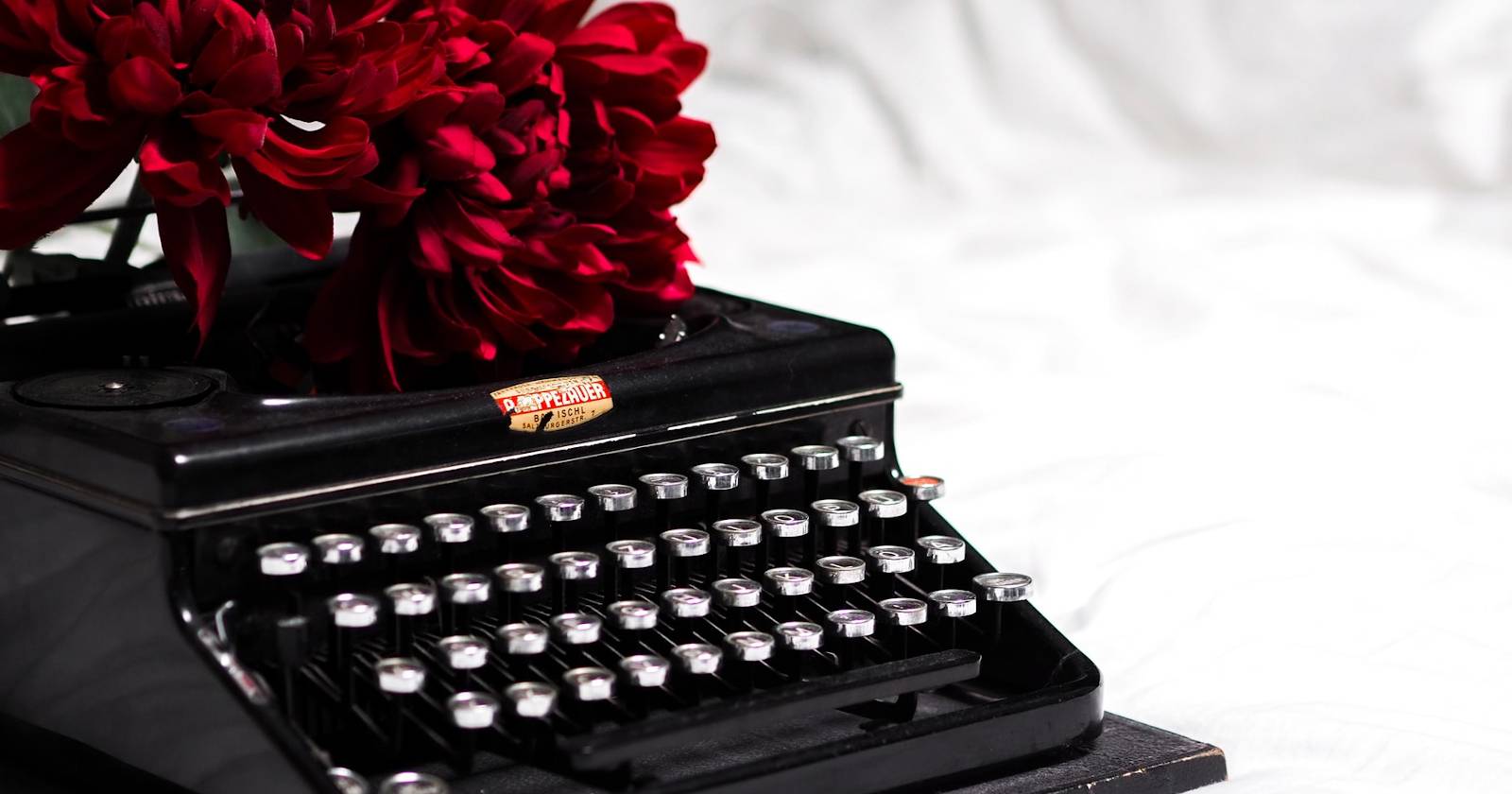 Reedsy Discovery: руководство для авторов